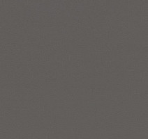 Линолеум Forbo Sarlon Colour 19dB 869T4319 charcoal uni фото 1 | FLOORDEALER